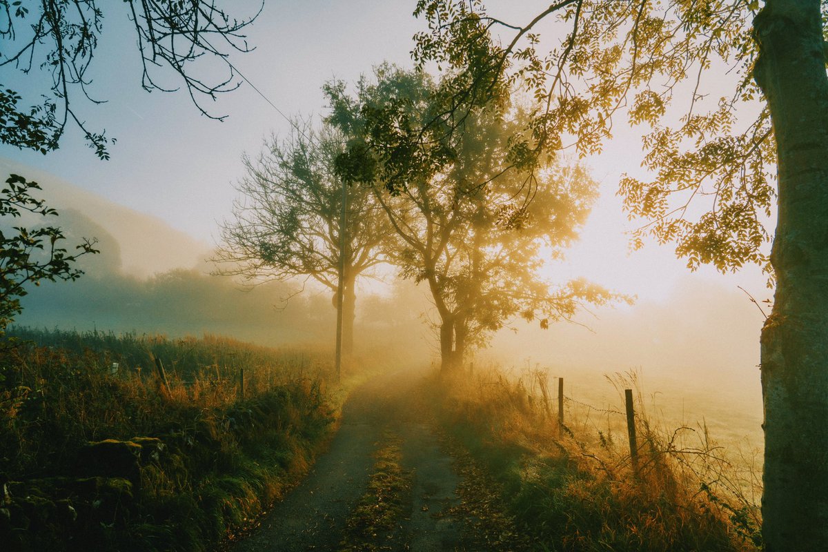 DanielCasson1's tweet photo. Morning Light ✨ // https://t.co/NGZUVcpCkn