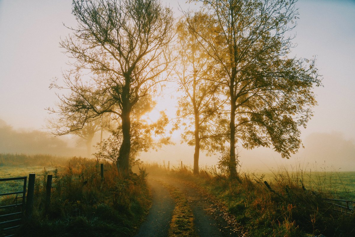 DanielCasson1's tweet photo. Morning Light ✨ // https://t.co/NGZUVcpCkn