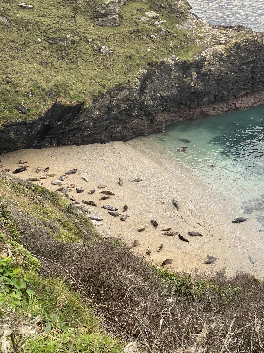 Seals