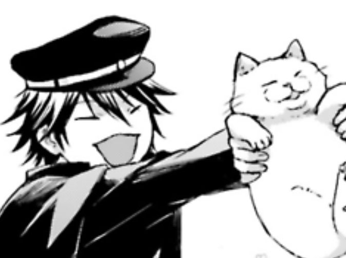 sxllycxt's tweet photo. ⠀
¡Gatito  sin  correa  es  de  quien  lo  vea!
⠀ https://t.co/kEpgmnaTEA