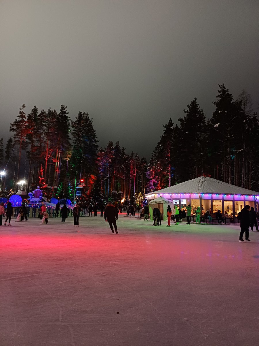 _COSMO_PRINCESS's tweet image. Каток в лесу 💫