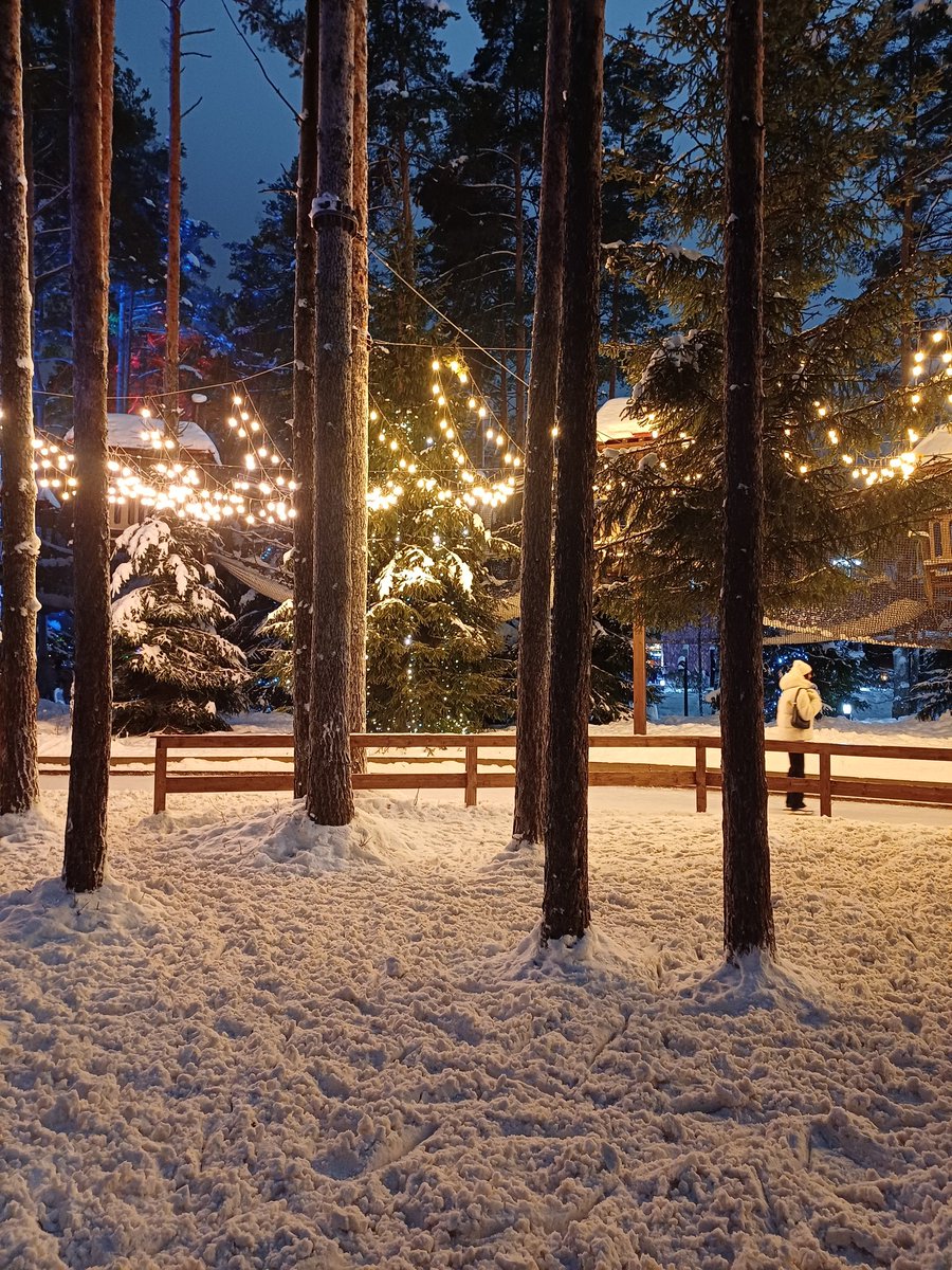 _COSMO_PRINCESS's tweet image. Каток в лесу 💫