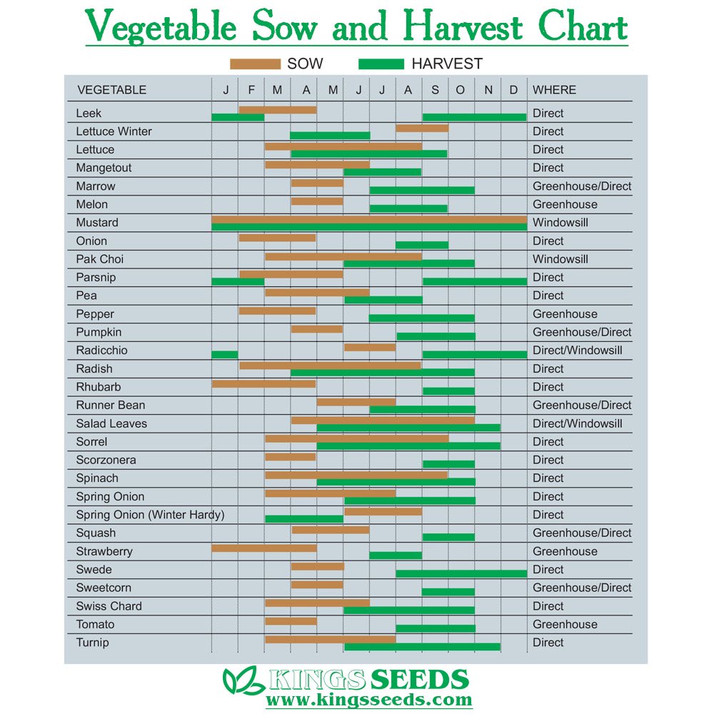 KingsSeeds_UK's tweet image. January is a good time to make a growing plan for the year. Here&apos;s our vegetable sow &amp;amp; harvest charts which you might find helpful! 🌱
#kingsseeds #growingguide #gardening #gardenplanning #plantingcalendar #sowingcalendar #ontheallotment #allotmentuk #growyourown #kitchengarden