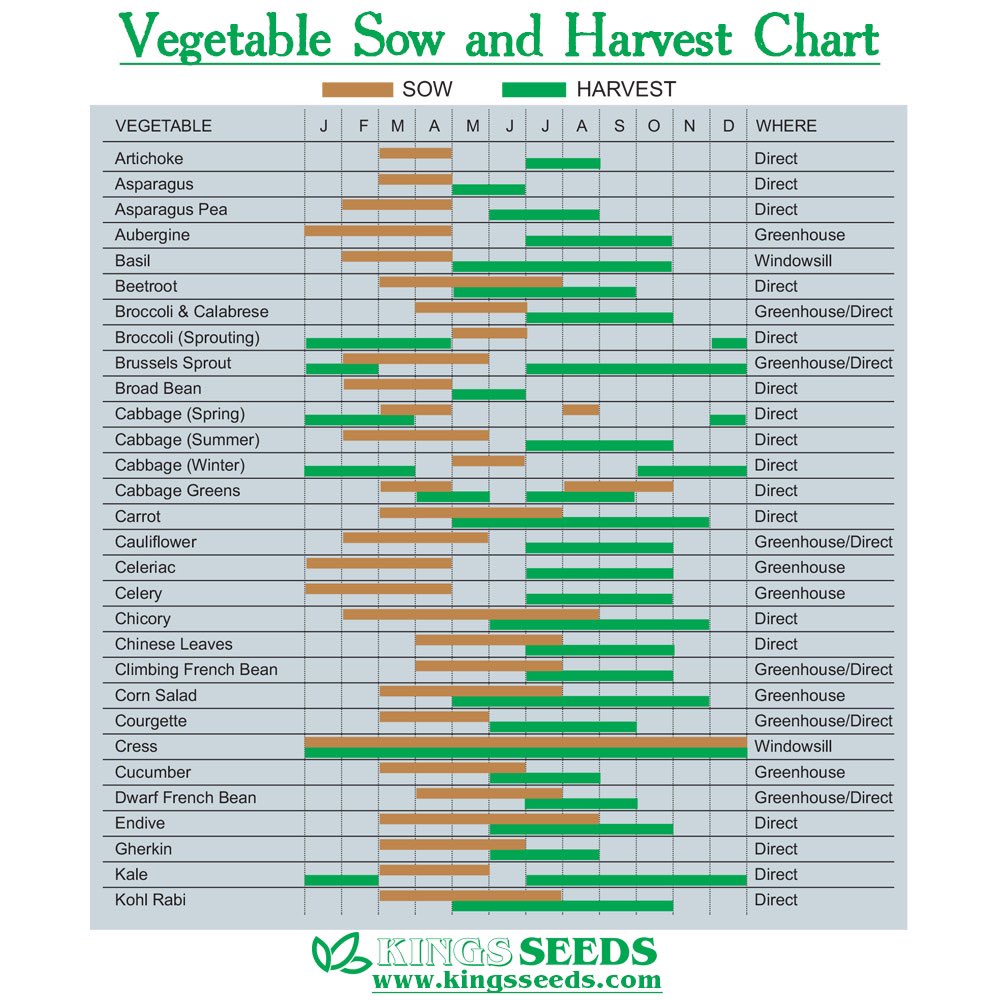 KingsSeeds_UK's tweet image. January is a good time to make a growing plan for the year. Here&apos;s our vegetable sow &amp;amp; harvest charts which you might find helpful! 🌱
#kingsseeds #growingguide #gardening #gardenplanning #plantingcalendar #sowingcalendar #ontheallotment #allotmentuk #growyourown #kitchengarden