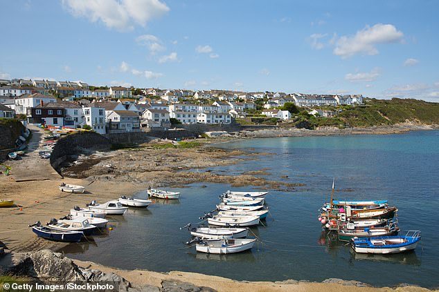Locals WIN war against Biome Algae over plans for Britain's biggest seaweed farm on a plot the size of 176 football pitches at Portscatho in Cornwall.👍

It was feared it would destroy fishing, affect tourism & nearby Carne Beach was once named 2nd best beach in the world.