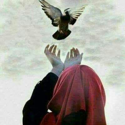 canbilmek2's tweet photo. Sevgi emekmiş ...
Emek ise vazgeçmeyecek kadar, ama özgür bırakacak kadar sevmekmiş...
Seni sana emanet ettiğimde anladım...
                      Can Yücel https://t.co/1OfKublp5c