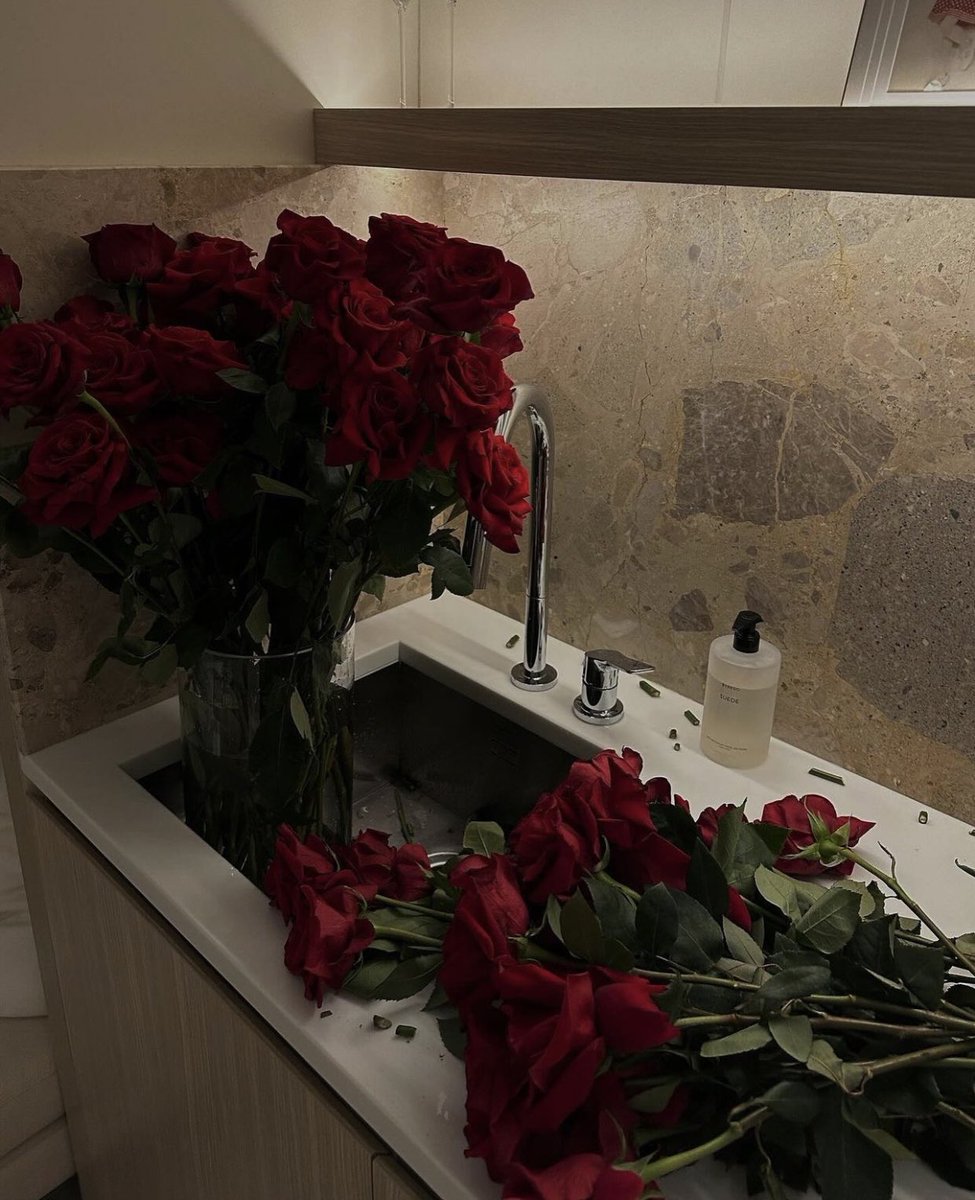 Red roses ❤️