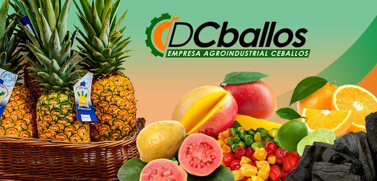 UlisesGuilarte's tweet photo. El déficit d oferta y los elevados precios constituyen causa principal d la pérdida del poder adquisitivo d salarios y pensiones. La batalla del sindicato hay q  centrarla en movilizar la producción material, priorizando la agricultura y renglones exportables. #CubaViveYTrabaja https://t.co/CSN99a0vS7