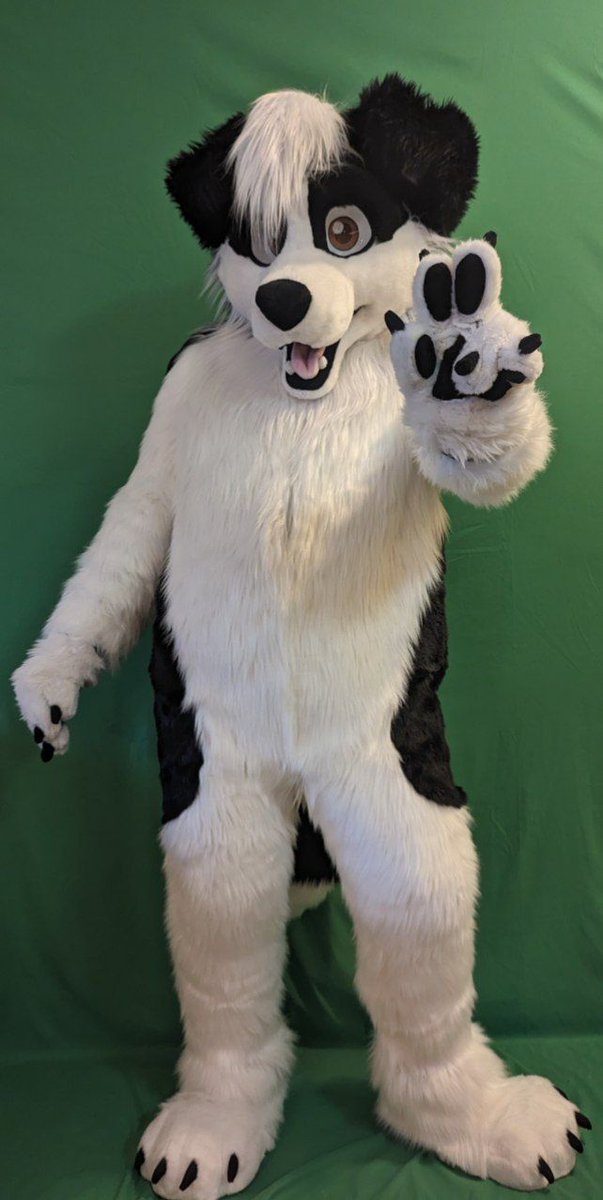 Can't wait to see you at Anthro New England!! #fursuit #ANE2024
📸 <a href="/SmallCollie/">Jethro Collie</a>
Made by the recently retired Curly Collective. Thank you so much!