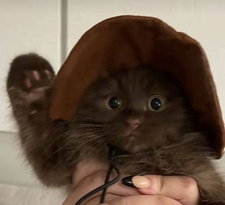 ay cok tatlis oldu cildirdim😻