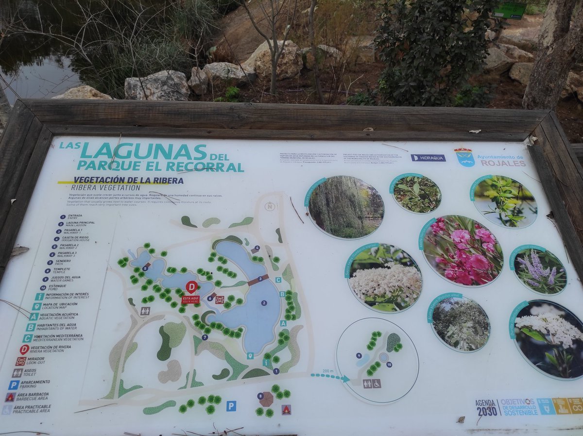 Hoy tocaba visita al Parque El Recorral, diseñado por @infoHIDRAQUA en Rojales. Perfecta solución hidráulica sostenible que armoniza con el entorno. Muy recomendable su visita! 🌿💧