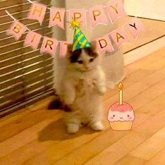23 🥳
