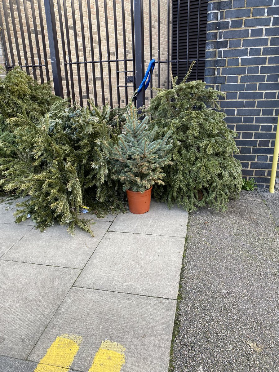 Hackney Bike Fit tweet media