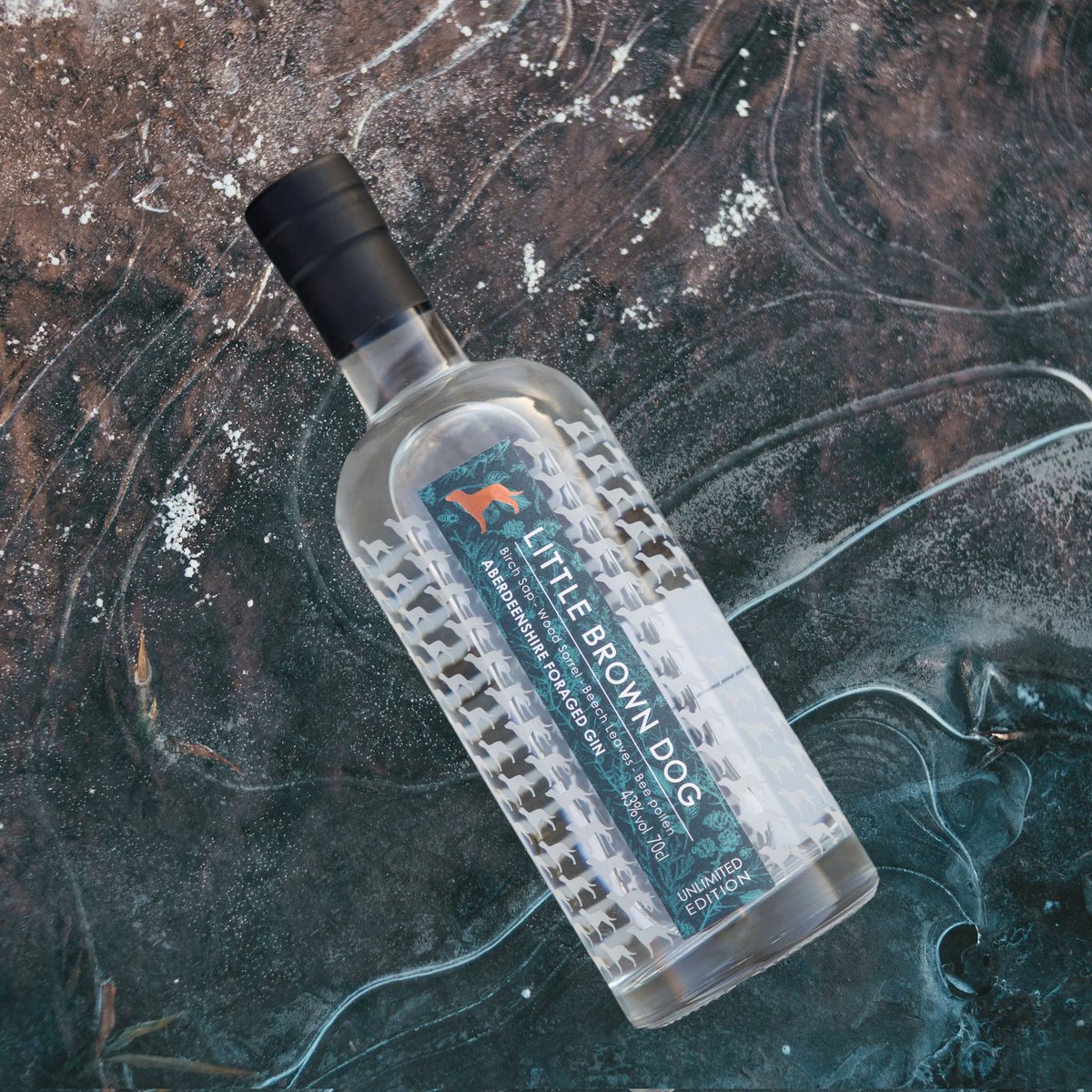 LBDspirits's tweet photo. We've been doing this wrong. Turns out it's not dry 𝗚𝗜𝗡 January....
Oh well, next year
#LBDGIN https://t.co/iahauXv5ZZ