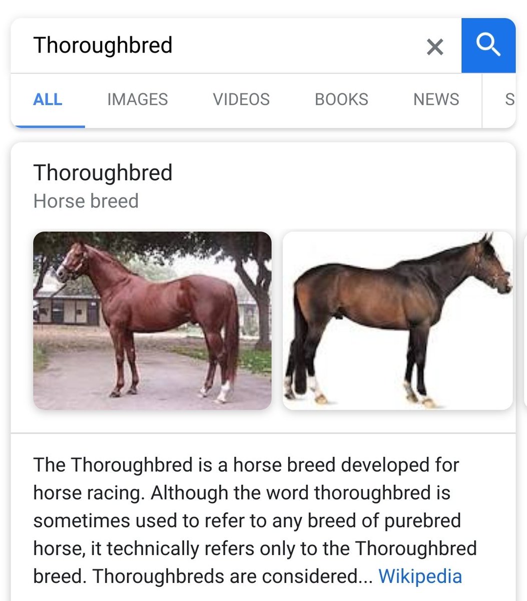 i5rar's tweet photo. I just found out that Purosangue means Thoroghbred.
#uglyferrari https://t.co/LCAwtLp8ZA