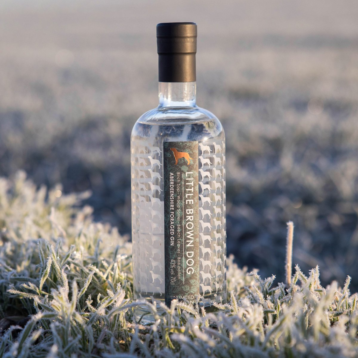 LBDspirits's tweet photo. We've been doing this wrong. Turns out it's not dry 𝗚𝗜𝗡 January....
Oh well, next year
#LBDGIN https://t.co/iahauXv5ZZ
