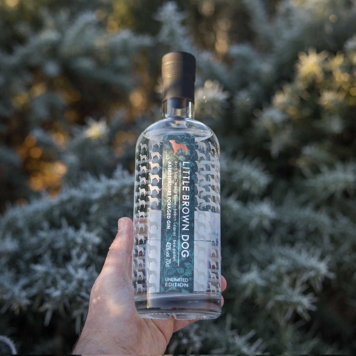 LBDspirits's tweet photo. We've been doing this wrong. Turns out it's not dry 𝗚𝗜𝗡 January....
Oh well, next year
#LBDGIN https://t.co/iahauXv5ZZ