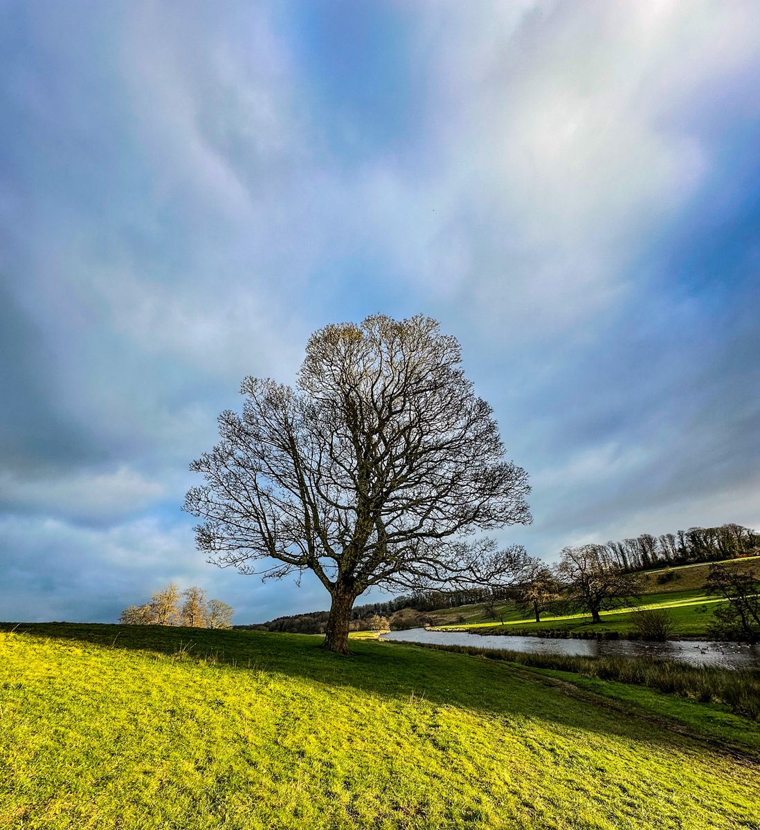 lizmead867's tweet image. You’d never think this was 15 mins before the blizzard started ..  #winterscoming to #Alnwick #treeclub 🌳