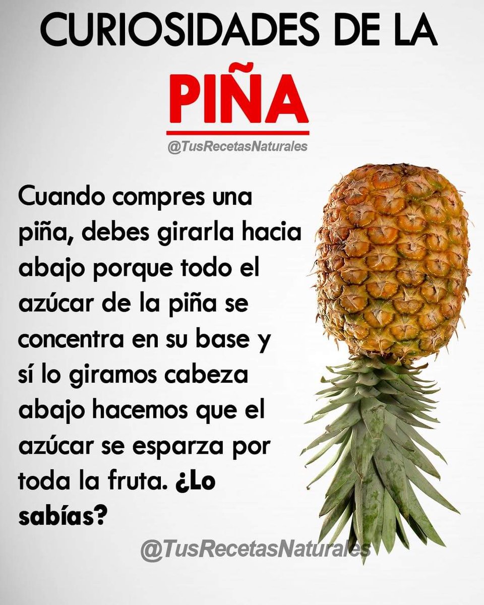 vibracosmos's tweet photo. https://t.co/lRTFSXPOAS