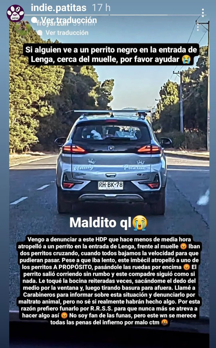 Hagamos famoso a este CTM que atropello a un perrito a propósito en Concepción 👇.. ahí está la patente 😡😡
