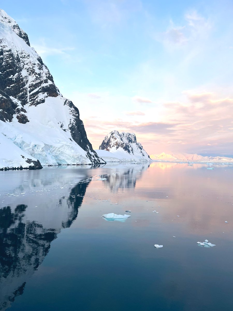 Clare Boston tweet media