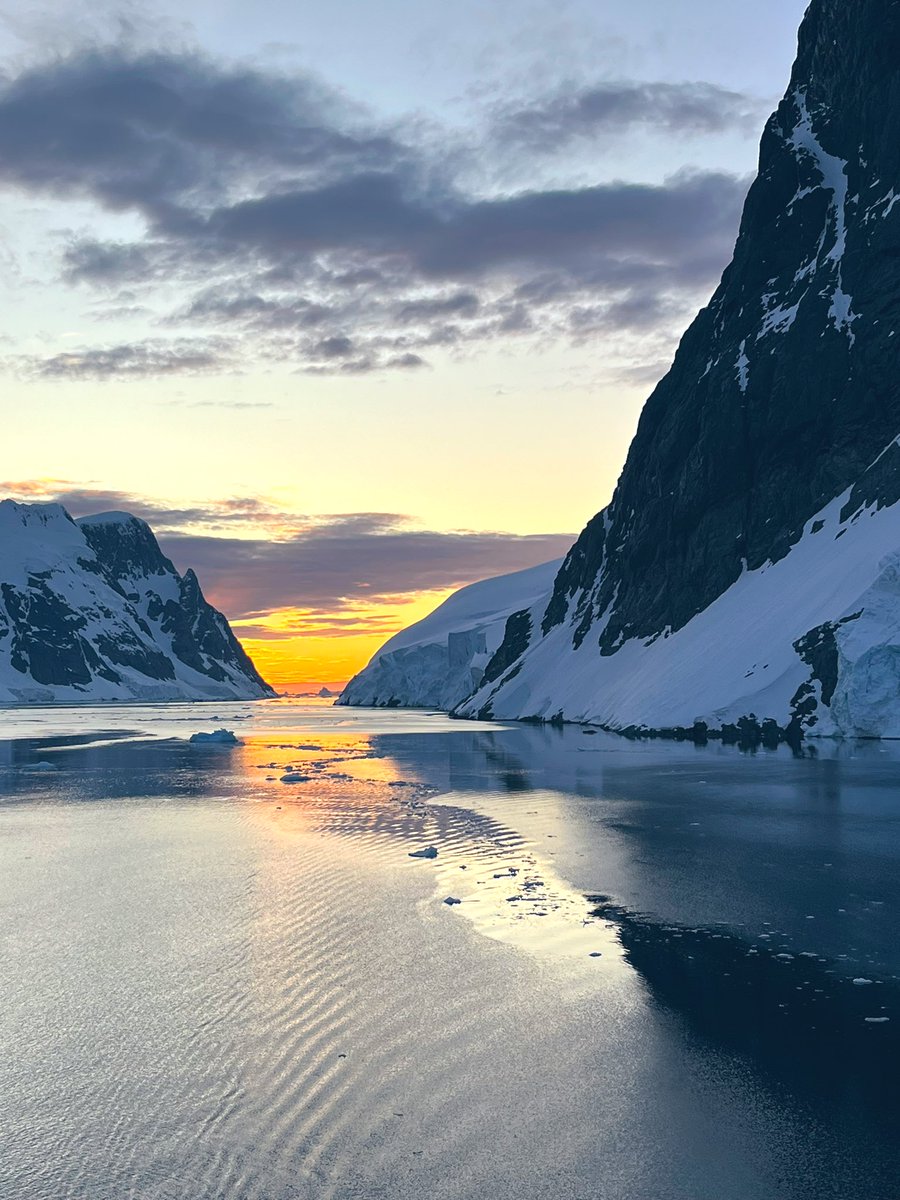 Clare Boston tweet media