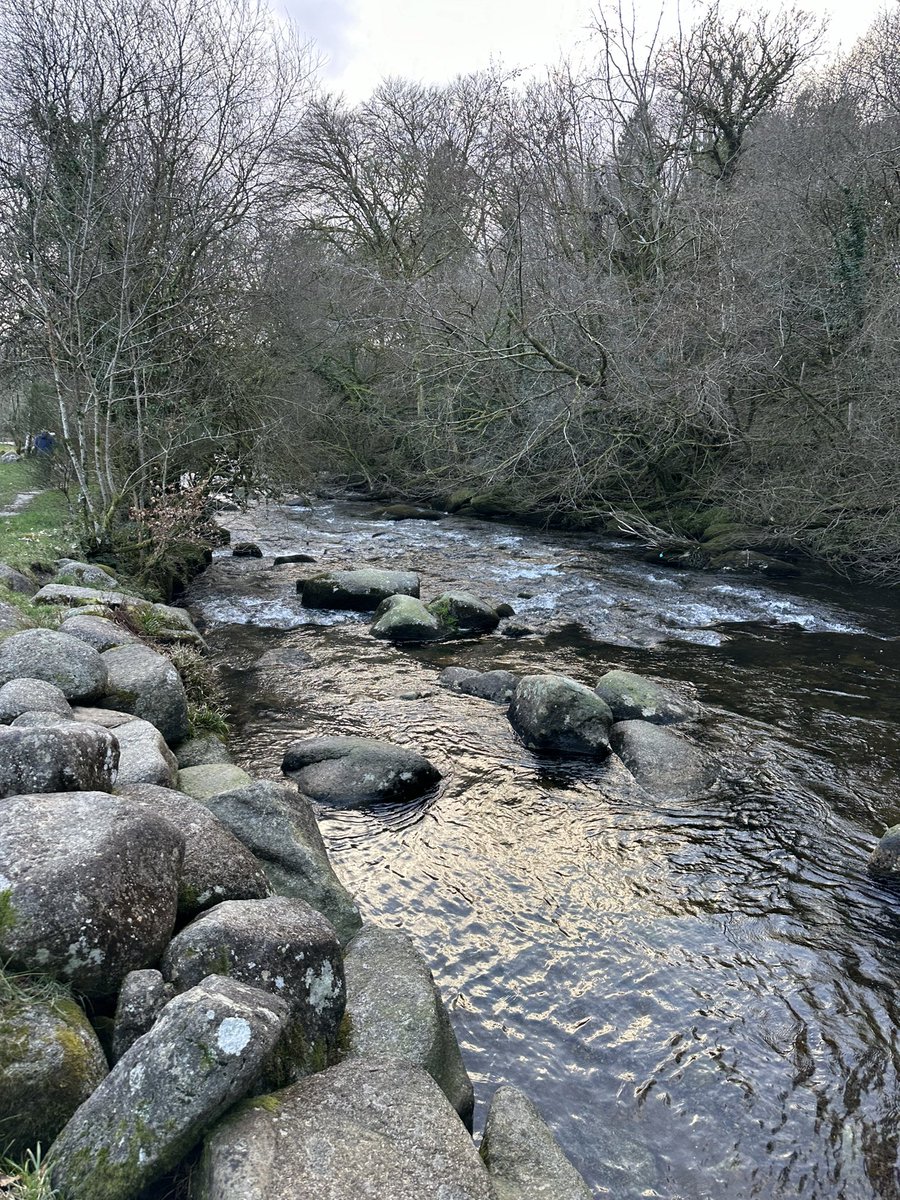 Visit to Buckfast Abbey and Dartmoor today.