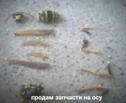 жуз (@juzzepppe) on Twitter photo 