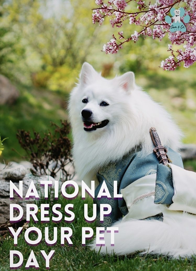 National Dress Up Your Pet Day - @MetLife_Pet 

Dressing up your #pet can be a lot of fun, but has the potential to become dangerous, too. Check out a few helpful strategies to help you discern when it’s safe to dress up your #pets.

ow.ly/FrFW30scsKB
#fashion #vetswithpets