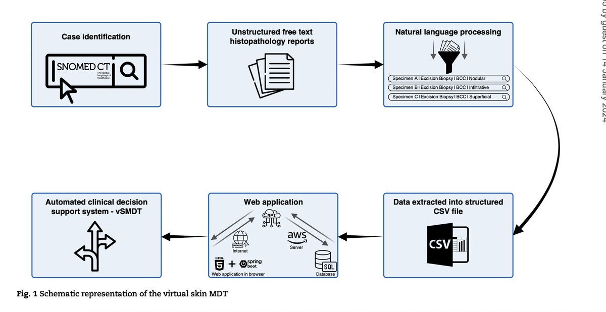 BJSurgery's tweet photo. Natural language processing to automate a web-based model of care and modernize skin cancer multidisciplinary team meetings
➡️ https://t.co/V3kpAAmiTl

Cancer multidisciplinary team (MDT) meetings are under intense pressure to reform given the rapidly rising incidence of skin cancer and the national mandate for protocolized streaming. 
A novel and validated NLP information extraction model was used to extract perioperative tumour and surgical factors from histopathology reports. A web application with a bespoke application programming interface used data from this model to provide an automated clinical decision support system, mapped to national guidelines and generating a patient letter to communicate ongoing management. 
It is feasible that this platform could be used to support clinical decision making during the skin MDT as ‘human in the loop’ approach to aid protocolized streaming. This could aid management decisions for ‘simple’ cases and free up time to discuss more ‘complex’ patients.

Great work by Stephen R Ali,  Thomas D Dobbs,  Adib Tarafdar,  Huw Strafford, Beata Fonferko-Shadrach,  Arron S Lacey,  William Owen Pickrell,  Hayley A Hutchings, Iain S Whitaker

#SoMe4Surgery #MedTwitter #SurgEd #Surgery @RCPSGTrainees @BJSAcademy @young_bjs @juliomayol @JJEarnshaw @OUPMedicine @SEIQuirurgica @aneelbhangu @dnepo @Sivesh93