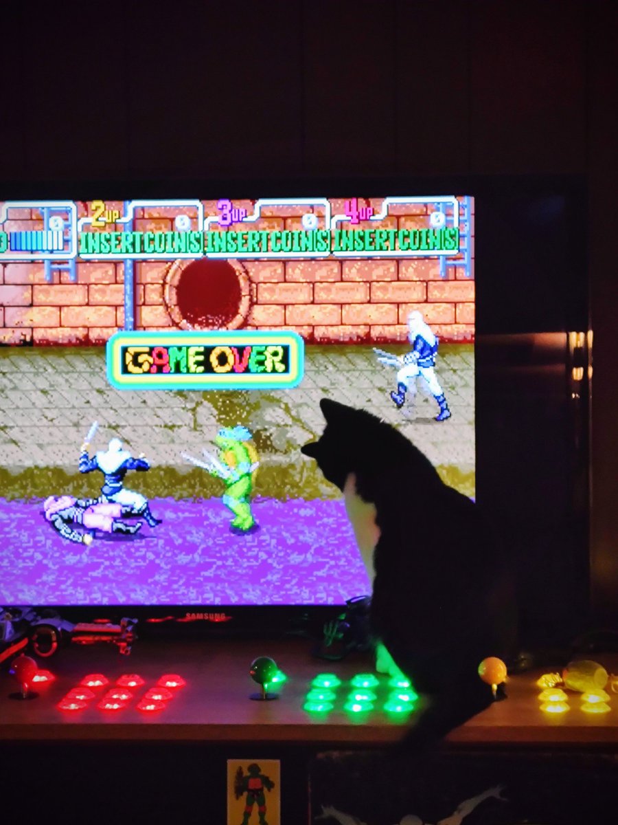 aaronmbiz's tweet photo. I'm not trying to tell any of you how to raise your pets but I recommend training them to hate the Foot Clan as early as possible. 😆 #TMNT #Cats #CatsOfTwitter #teenagemutantninjaturtles #Arcade #TMNTArcade #ArcadeMachine #PartyBasement https://t.co/MrmyU1ziRx