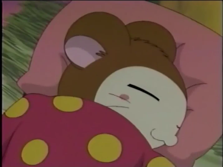 ハム太郎 Hamtaro・ハム太郎 on X: 