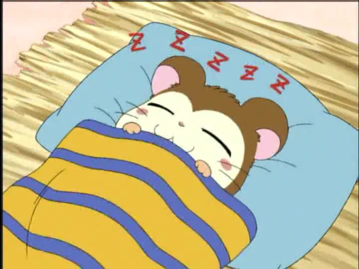 Hamtaro・ハム太郎 on X: 