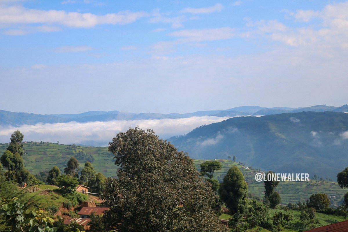 LoneWalker_256's tweet photo. "There are places in Uganda, and there is Kabale. The Source wasn't fair when commanding the mountains, hills and valleys to rise above the Earth."

📍Kabale
🌍 Uganda https://t.co/Gzlp3vqCpx