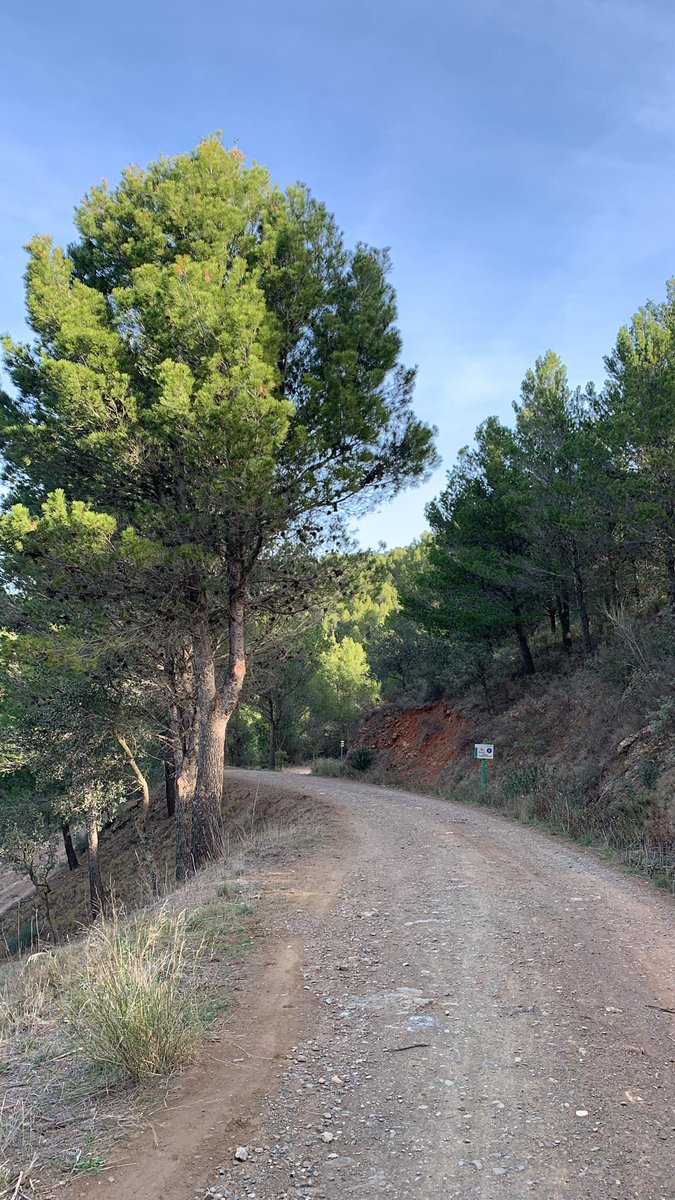 CharlieVay's tweet photo. La otra Málaga ⛰️ https://t.co/UIwG7qhh6G