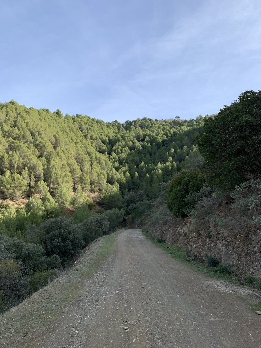 CharlieVay's tweet photo. La otra Málaga ⛰️ https://t.co/UIwG7qhh6G