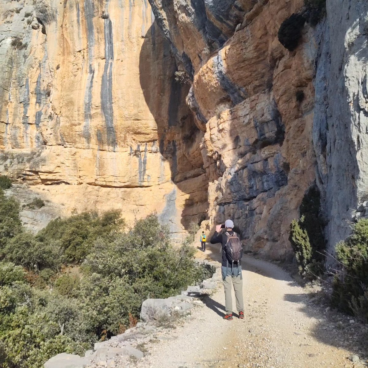 AteneuFuliola's tweet photo. Recull fotogràfic de la jornada excursionista de Santa Maria fins el poble abandonat de Rúbies a @serradelmontsec ♥️ ⛰️

A l'arribada ens esperava un arròs  boníssim que ens ha preparat el fuliolenc Manel Capitan des del @barsantamariademeia 🥘 Aneu-hi si podeu, fins la propera! https://t.co/wzglrQGt0F