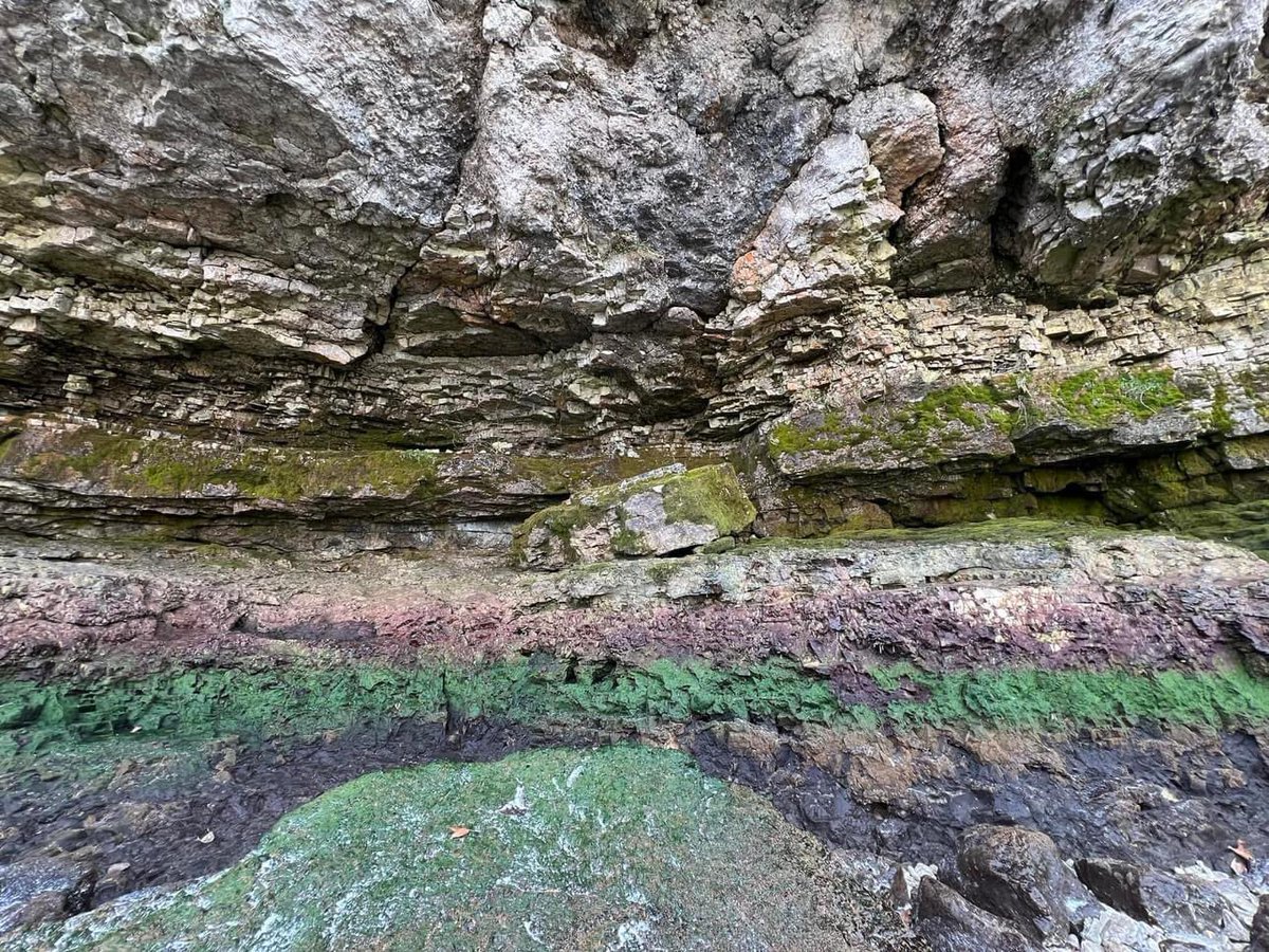 ChrisWTOL's tweet image. INCREDIBLE! Put-In-Bay at South Bass Island in Lake Erie during extreme low water Saturday. Human feet rarely explore this amazing landscape. Ferocious wind drained millions of gallons of water from the western #LakeErie exposing this rare earth landscape!

📸: Barry Koehler