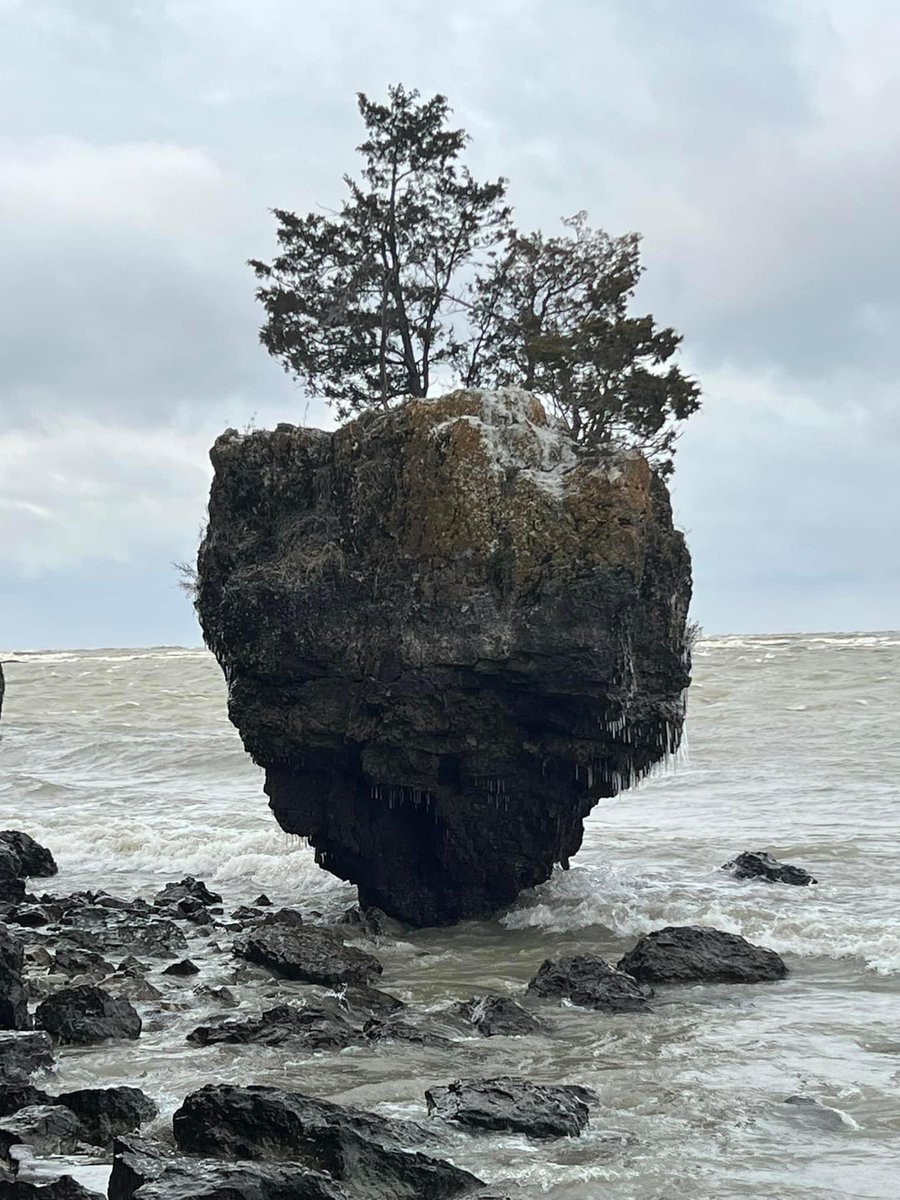 ChrisWTOL's tweet image. INCREDIBLE! Put-In-Bay at South Bass Island in Lake Erie during extreme low water Saturday. Human feet rarely explore this amazing landscape. Ferocious wind drained millions of gallons of water from the western #LakeErie exposing this rare earth landscape!

📸: Barry Koehler