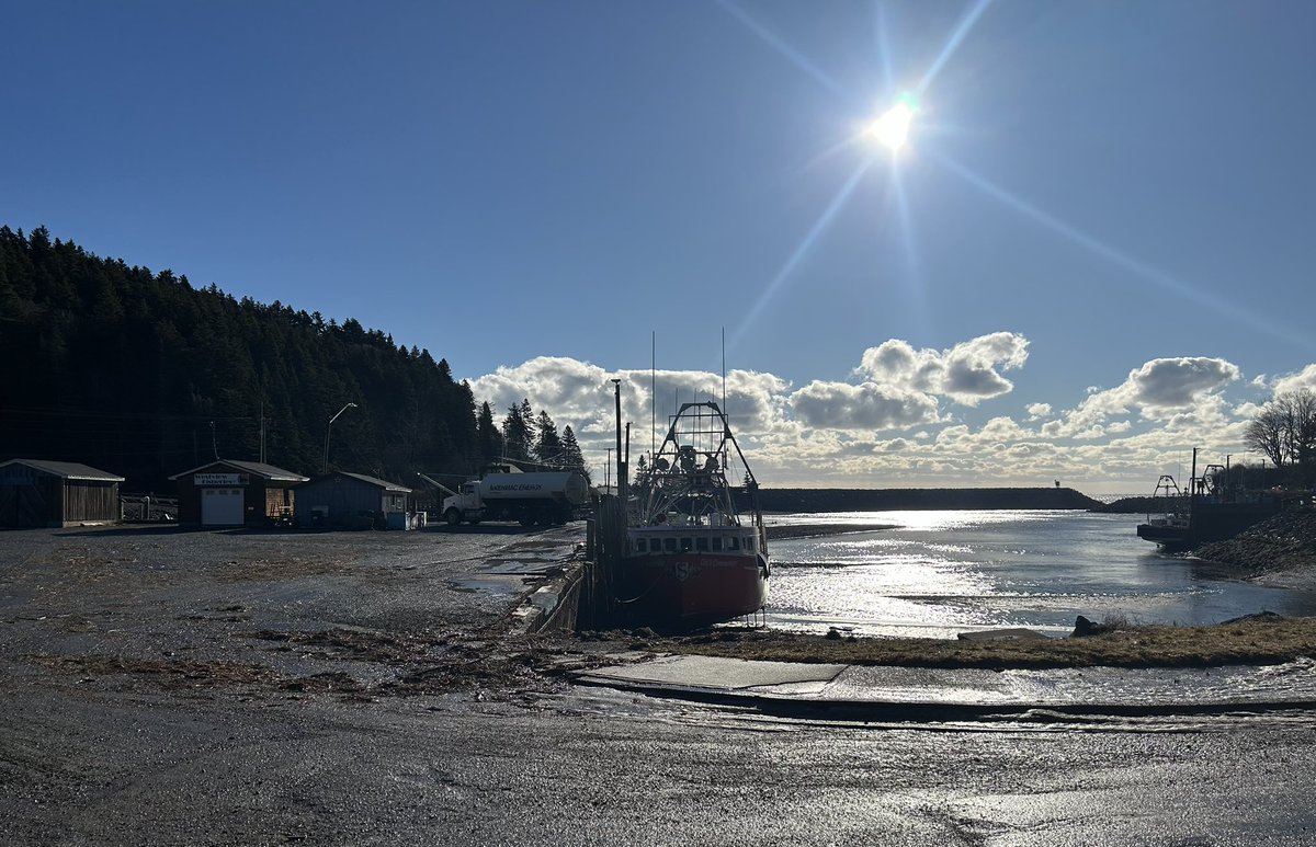 What a difference a day makes