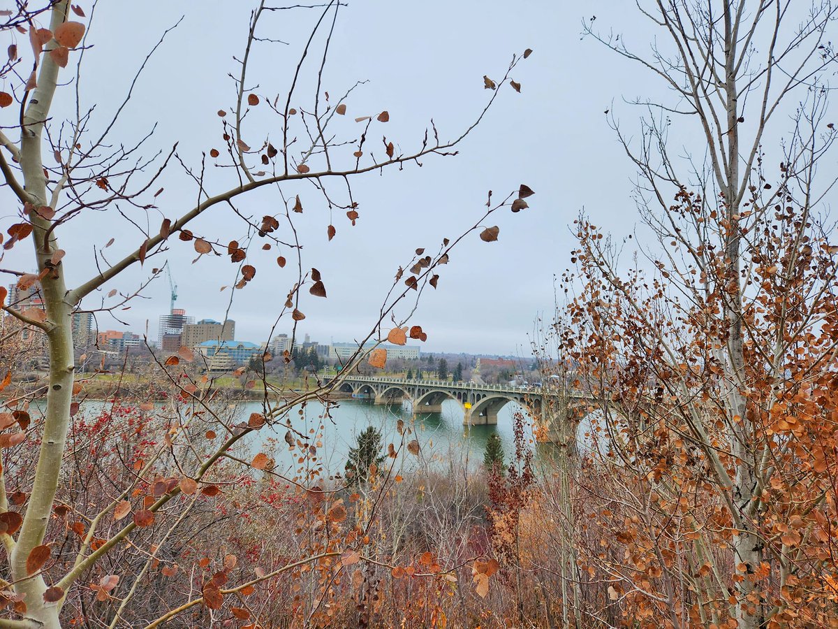 Miss_Mousie's tweet photo. A Beautiful November Weekend: On the Blog 🍁https://t.co/yS5y0Lv352 https://t.co/1F4MIRet8N