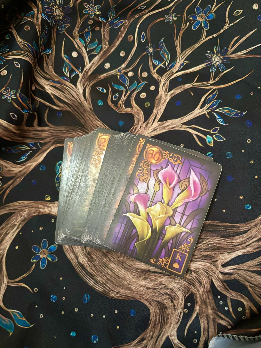 biaastrotarot's tweet photo. Rapaz me deu uma vontade de jogar baralho cigano!! E a palavra do povo cigano pra mim é ordem, vamos de free card?

Free card de baralho cigano, responderei até onde me for permitido 💫🩷

Únicas regras:

- Me seguir
- Dar rt nesse tweet
- COMENTAR A PERGUNTA APENAS AQUI NOS COMENTÁRIOS! Com seu nome ou iniciais e nome ou iniciais de pessoas envolvidas