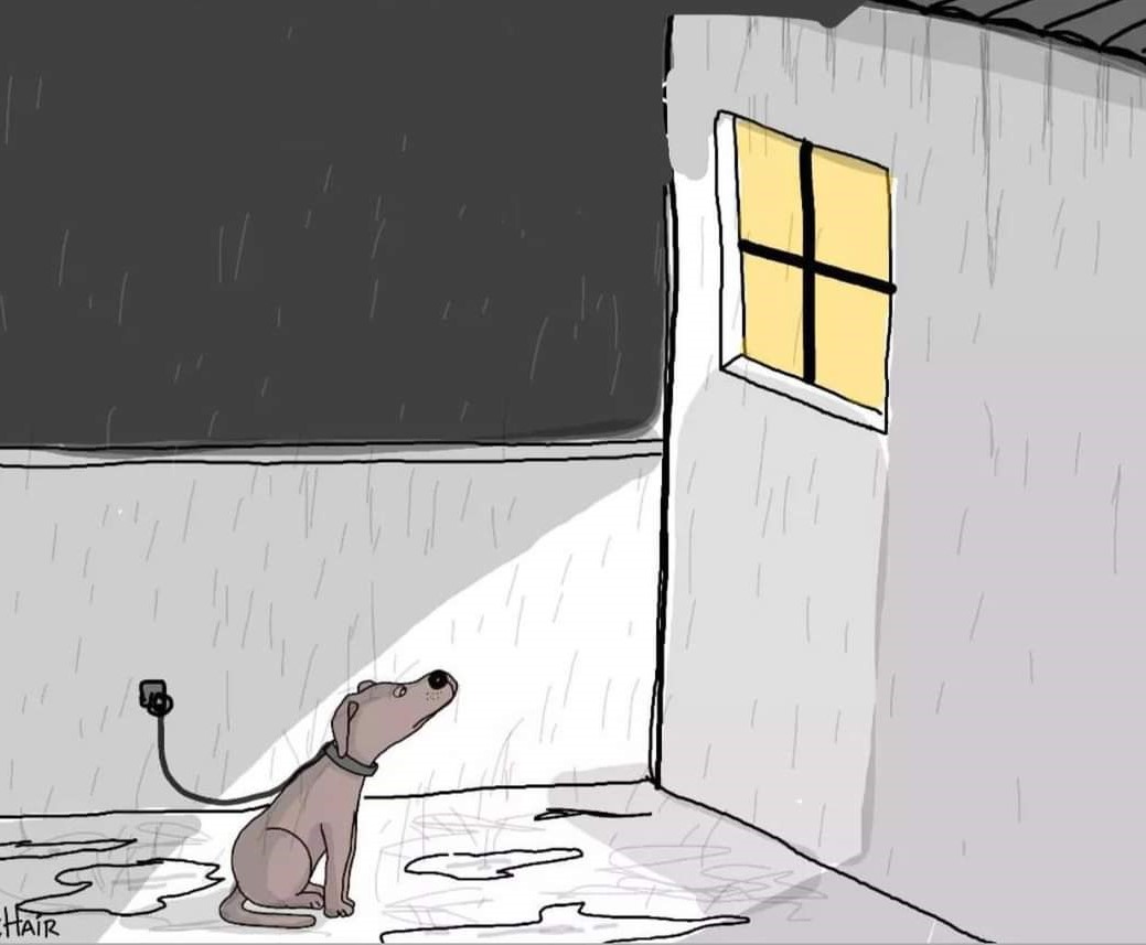 If you can't love a dog like a family member…Don't get one