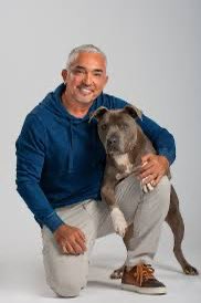 Liberdade_Lapas's tweet image. Encantador de cães —- Encantador de Burros