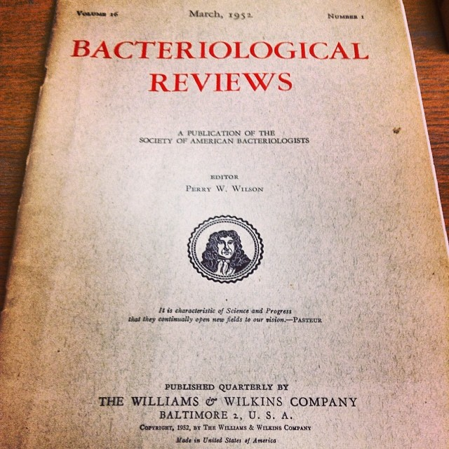 Micro Gaia (José Gallego) 🦠🧫 tweet media