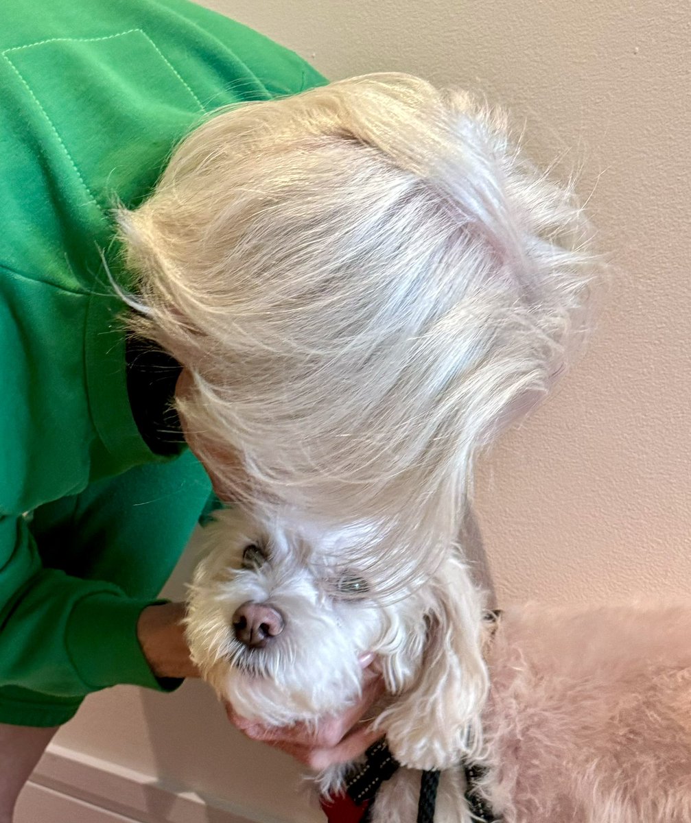 mayemusk's tweet photo. Leaving for another trip ✈️ #werk 💃
Multiple kisses for DelRey before he’s picked up 🐶😘😘😘 
Do you do the same?
#AWomanmakesAPlan 📖
#ItsGreatToBe75 💪👩‍🎓 https://t.co/yH6iFpjqmI