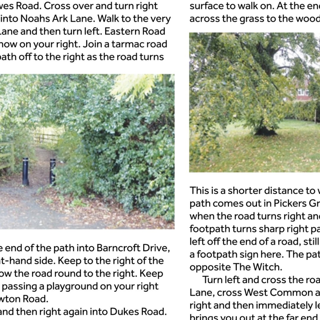 Looking to get your step count up? Head to p34, where Chris Best takes us on a classic winter walk. #lindfield #community #steps #walking #winter