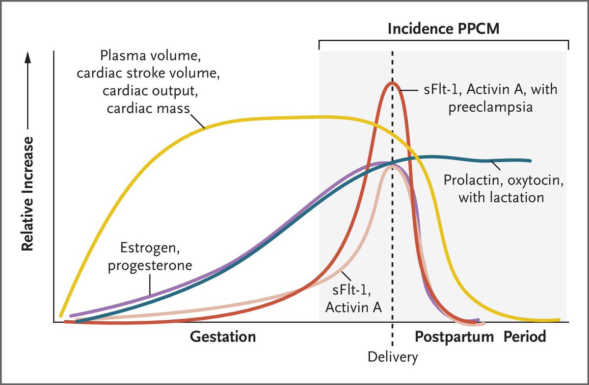 Ed_Alania's tweet photo. 🔴 Peripartum Cardiomyopathy @NEJM #Cardioed #CardioObs #Cardiology https://t.co/pbLZ3BBVbs