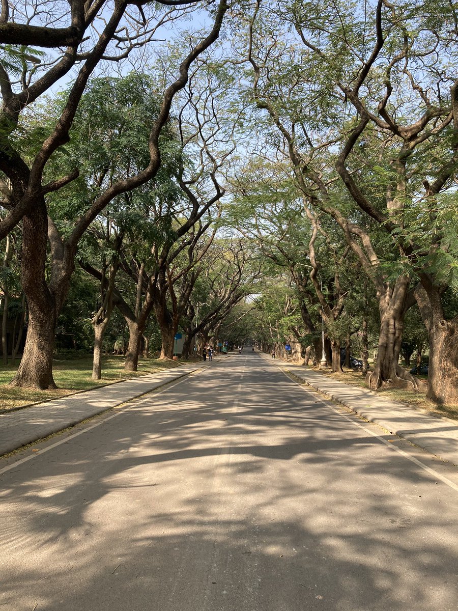 Kavitha Sarma (@sarma_lab) on Twitter photo Outstanding conference at the lovely IISc campus! Thank you <a href="/srimontagayen/">SrimontaGayen_Epigenetics lab</a> for including me. What an amazing group of students you have! Outstanding conference at the lovely IISc campus! Thank you <a href="/srimontagayen/">SrimontaGayen_Epigenetics lab</a> for including me. What an amazing group of students you have!