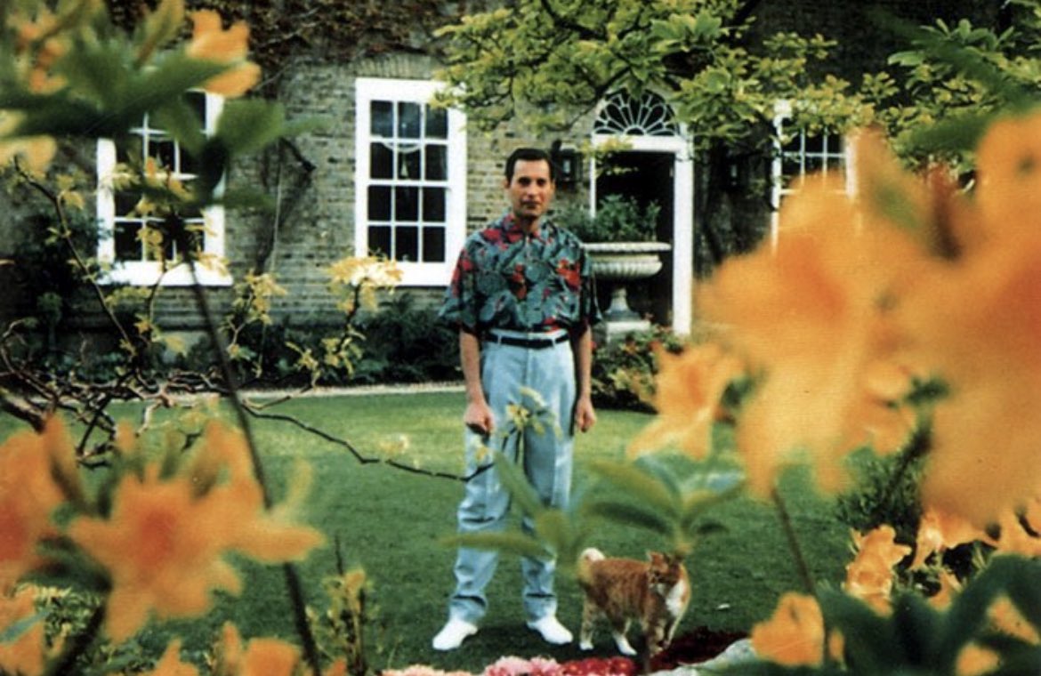This is one of the final images of Freddie Mercury, the lead singer of Queen, taken in 1991. Until the very end, Freddie denied rumours about having AIDS, preferring to avoid the inevitable media circus. 

The day before he passed, he released the following statement:…